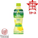 安心のメーカー直送！玄関で楽々受取♪ アクエリアス 1日分のマルチビタミン PET 500ml×24本 1ケース AQUARIUS スポーツドリンク 清涼飲料水 ペットボトル 日本コカ・コーラ