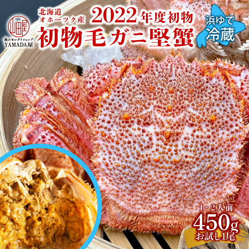 【 お試し 】 2022年度 初物 オホーツク産 未冷凍 冷蔵 活毛ガニ 450g 前後 ★レビュー ...