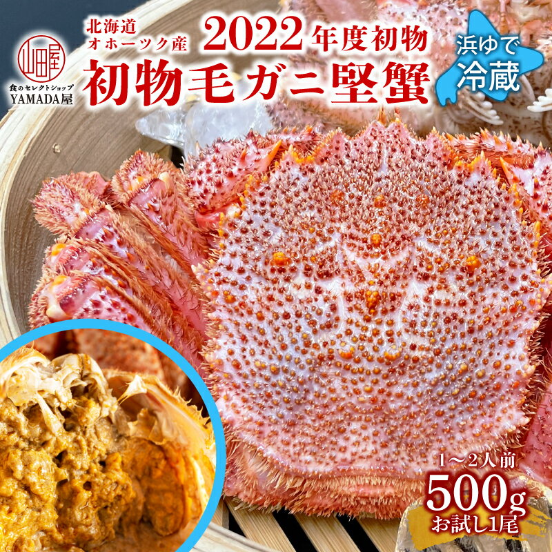 【 お試し 】 2022年度 初物 オホーツク産 未冷凍 冷蔵 活毛ガニ 500g 前後 ★レビュー ...