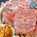 【 お試し 】 2022年度 初物 オホーツク産 未冷凍 冷蔵 活毛ガニ 700g 前後 ★レビュー記入で500円QUOカードプレゼント★ 新鮮 浜茹 活毛蟹 最上級 堅蟹 北海道 北海道産 毛ガニ 毛がに 毛蟹 蟹 カニ かに 送料無料 お取り寄せ グルメ ギフト カニ通販