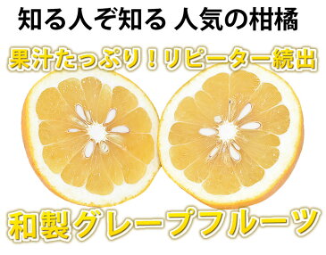 河内晩柑 文旦 みかん 訳あり 送料無料 和製グレープフルーツ 1.5kg S〜3L 2セットで1セット 3セットで3セットおまけ お取り寄せ お取り寄せグルメ 晩柑 熊本県産 美生柑 グレープフルーツ