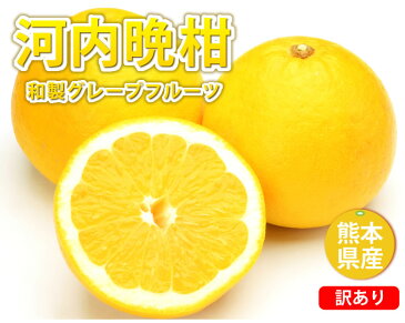 河内晩柑 文旦 10kg 箱込 (内容量9kg+補償500g) みかん 訳あり 送料無料 S〜3L お取り寄せ お取り寄せグルメ 和製グレープフルーツ 晩柑 熊本県産 美生柑