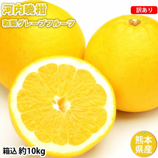 河内晩柑 みかん 送料無料 訳あり 10kg 箱込 (内容量9kg 不良果補償分500g) S〜3L お取り寄せ お取り寄せグルメ 和製グレープフルーツ 晩柑 熊本県産 美生柑