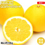 河内晩柑 みかん 送料無料 訳あり 10kg 箱込 (内容量9kg+不良果補償分500g) S〜3L お取り寄せ お取り寄せグルメ 和製グレープフルーツ 晩柑 熊本県産 美生柑