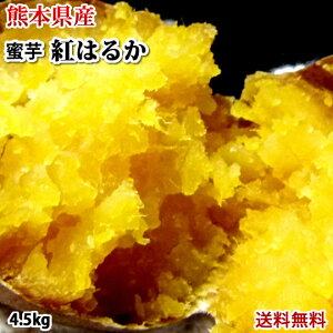 さつまいも 紅はるか べにはるか 送料無料 熊本県産 4.5kg サツマイモ お取り寄せ 紅蜜芋 芋 いも