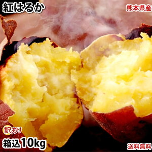 さつまいも 紅はるか 訳あり 10kg 箱込（内容量9kg＋補償分500g) 送料無料 無選別 べにはるか 熊本県産 サツマイモ 紅蜜芋 芋 いも