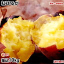 さつまいも 紅はるか 訳あり 10kg 箱込（内容量9kg＋補償分500g) 送料無料 無選別 べにはるか 熊本 宮崎県産 サツマイモ 紅蜜芋 芋 いも