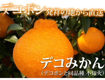 デコポン みかん 特選デコみかん 送料無料 1.8kg 5〜8玉 3箱購入で1箱おまけ 希少な加温ハウス栽培 不知火