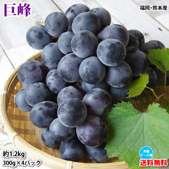 ֤ɤ  1.2kg300g4ѥå ̵ ʡܸ ҥؤǤϤӤۤ ƺ ֤ɤ ƣ̭ ԥ