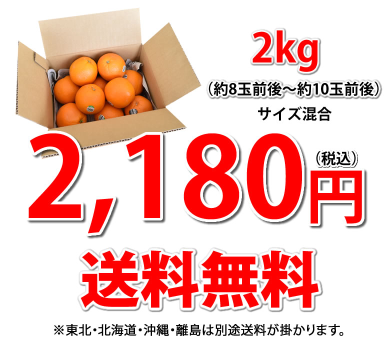 ネーブルオレンジ みかん 送料無料 2kg 3箱購入で1箱おまけ アメリカ オーストラリア産 オレンジ