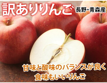 りんご 訳あり 約5kg(4.5〜5kg) リンゴ 送料無料 長野・青森県産 サンふじ つがる ジョナゴールド ふじ 林檎