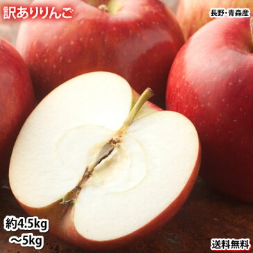 りんご 訳あり 約5kg(4.5〜5kg) リンゴ 送料無料 長野・青森県産 サンふじ つがる ジョナゴールド ふじ 林檎