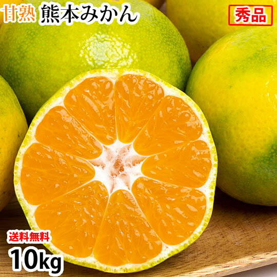 みかん 熊本みかん 送料無料 秀品 10kg 2S〜L 熊本県産 極早生みかん お取り寄せ 蜜柑 ミカン