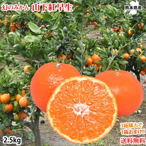 山下紅早生 みかん 幻のみかん 送料無料 秀品 2.5kg 希少品種 熊本県産 3箱購入で1箱おまけ 蜜柑 早生みかん ミカン