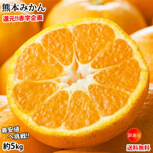 みかん 5kg 送料無料 訳あり 箱込（内容量4kg＋補償分500g） 無選別 熊本みかん 極早生みかん 早生みかん 温州みかん蜜柑 ミカン