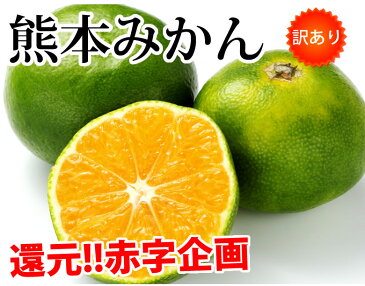 みかん 10kg 送料無料 訳あり 箱込(内容量9kg+補償分500g) 無選別 熊本みかん 極早生みかん 早生みかん 温州みかん蜜柑 ミカン