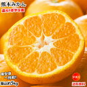 みかん 5kg 送料無料 訳あり 箱込(内容量4kg+補償分500g) 無選別 熊本みかん 極早生みかん 早生みかん 温州みかん蜜柑 ミカン