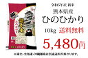 ひのひかり 米 送料無料 10kg 令和5年産 新米 熊本県産 お米 白米 玄米 コシヒカリ 森のくまさん 3