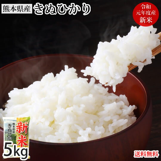 きぬひかり 米 5kg 送料無料 令和元年度産 新米 熊本県産 お米 白米 玄米 こしひかり ひのひかり 森のくまさん