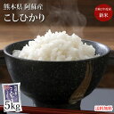 こしひかり 5kg 米 送料無料 熊本県阿蘇産 新米 令和2年産 お米 白米 玄米 ひのひかり 森のくまさん