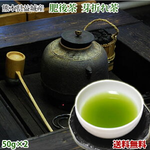 茶 送料無料 芽折れ茶 50g×2 肥後茶 熊本県益城産 お茶 日本茶