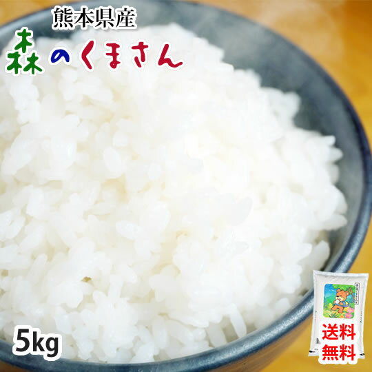 森のくまさん 米 送料無料 5kg 令和2年産 新米 熊本県産 白米 お米 こめ 新米 ひのひかり こしひかり