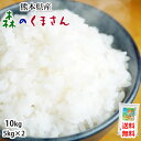 森のくまさん 米 送料無料 10kg 令和5年産 新米 熊本県産 白米 お米 こめ 新米 ひのひかり こしひかり