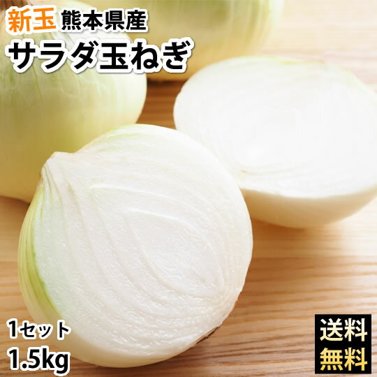 玉ねぎ サラダ玉ねぎ 送料無料 新玉 1.5kg S〜L 熊本県産 2セットで1セットおまけ 3セットで3セットおまけ お取り寄せ お取り寄せグルメ 玉葱 たまねぎ 野菜のサムネイル