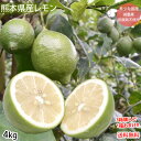 レモン 国産レモン 送料無料 4kg S〜L 3箱購入で1箱おまけ 熊本県産 減農薬 防腐剤ワックス不使用 れもん グリーンレモン 国産