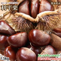 利平栗 栗 送料無料 約1.5kg L〜2L クール便 2セットで1セットおまけ 3セットで2セットおまけ 熊本県産 お取り寄せ お取り寄せグルメ 幻の高級和栗 生栗 くり クリ 渋皮煮