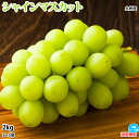 シャインマスカット ぶどう 送料無料 2kg 3〜5房 〈クール便でお届け〉 九州産 お取り寄せ マスカット 葡萄 ブドウ