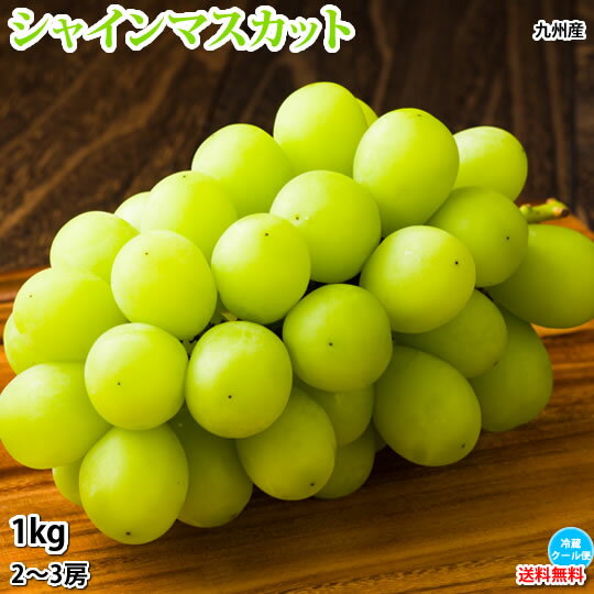 ҥؤǤϤӥ㥤ޥåȤ֤ɤ̵1kg23˼3Ȣ1Ȣޤʡܸ󤻥ޥåƺ֥ɥ