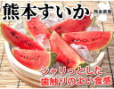 すいか 送料無料 スイカ 熊本すいか 秀品 1玉 約3.5kg〜5kg 熊本県産 お取り寄せ お取り寄せグルメ 西瓜 フルーツ 2