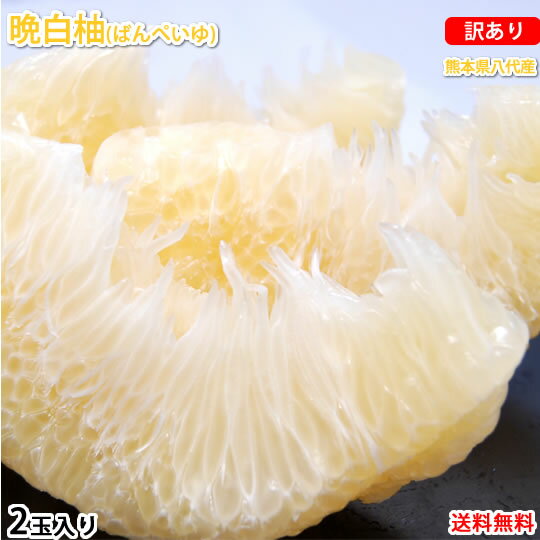 晩白柚 みかん ばんぺいゆ 訳あり 送料無料 約3kg〜4kg 2玉入 M〜2Lサイズ 世界最大級の柑橘 熊本県八代産 蜜柑 ミカンのサムネイル