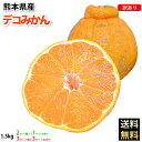 デコポン 同品種 訳ありデコみかん 1.5kg 約5玉前後〜...