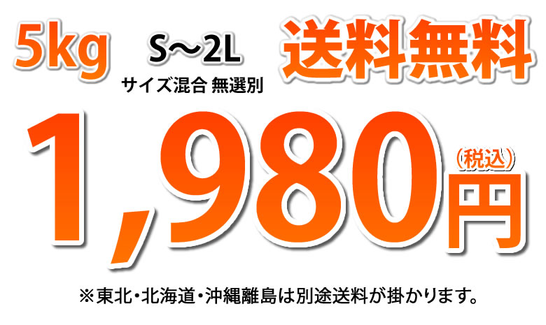 パール柑 5kg 文旦 みかん 送料無料 訳あり S〜2Lサイズ混合 2セットで1セットおまけ 熊本県産 グレープフルーツ 蜜柑 ミカン