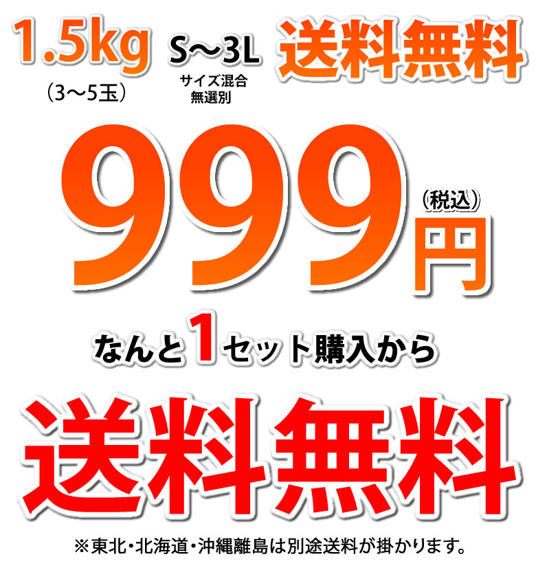 パール柑 文旦 みかん 送料無料 訳あり 1.5kg S〜3Lサイズ混合 無選別 熊本県産 2セットで1セット 3セットで3セットおまけ グレープフルーツ