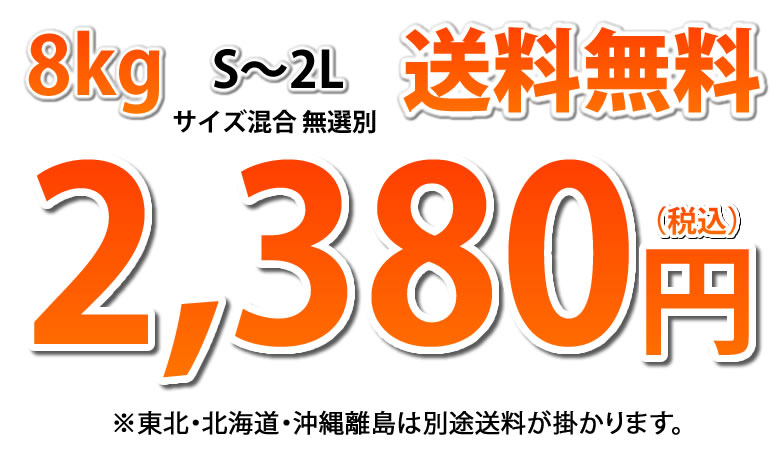 パール柑 8kg 文旦 みかん 送料無料 訳あり S〜2Lサイズ混合 熊本県産 グレープフルーツ 蜜柑 ミカン