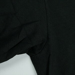 STUSSY ステューシー 25SS DOUBLE DRAGON PIGMENT DYED BLACK Tシャツ 黒 Size 【L...