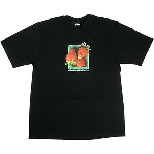 STUSSY ステューシー 25SS BERRIES TEE BLACK Tシャツ 黒 Size 【S】 【新古品・未使用品】 20822474