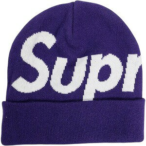 SUPREME シュプリーム 25FW Big Logo Beanie Purple ビーニー 紫 Size 【フリー】 【新古品・未使用品】 20833371(4.0)