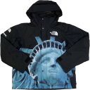 SUPREME Vv[ ~THE NORTH FACE 19AW Statue of Liberty Mountain Jacket Black }EeWPbg  Size ySz yÕi-قڐViz 20787056