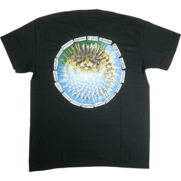 乐天商城 - SUPREME シュプリーム 23SS Blowfish Tee Black Tシャツ 黒 Size 【L】 【新古品・未使用品】 20838875