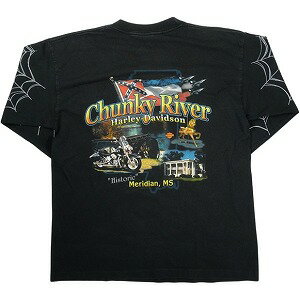 VINTAGE ヴィンテージ Harley Davidson ハーレーダビッドソン Spider Web LS Tee ロンT 黒 Size 【L】 ..