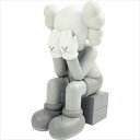 KAWS カウズ ×MEDICOM TOY COMPANION Passing Through フィギュア 2013年モデル 灰 Size【フリー】 【中古品-ほぼ新品】【中古】