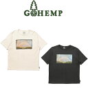 【送料無料】【MEN'S&WOMEN'S】GOHEMP ゴーヘンプ DOUBLE RAINBOW WIDE FITS TEE ダブルレインボーワイドフィットT ヘンプ×オーガニックコットン生地の新型ボディ ベーシックの着用感に近いナチュラルなワイドシルエットHELLO NATURE をテーマにコラボレーションTシャツ