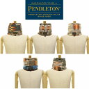 【送料無料】PENDLETON × TAION REVERSIBLE NECK WARMER ペンドルトンリバーシブルネックウォーマー ダウンの入った両面使える暖かいアイテム リアルフェザーダウンネックウォーマー タイオンコラボアイテムネイティブ柄ハーディングのリバーシブルネックウォーマー 防寒