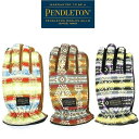 【送料無料】【MEN 039 S】PENDLETON ペンドルトン CORDUROY GLOVE MENS コーデュロイ プリントグローブ ペンドルトンからコーデュロイにネイティブ柄CANYONLANDSのオリジナルプリントがされたメンズの手袋 暖かい 防寒 手袋