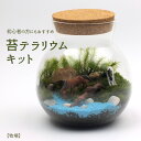 【牧場】苔テラリウム 苔リウム コケリウム 盆栽 苔 手作り キット 巣ごもり おうち時間 ガーデニング 観葉植物 園芸 癒し ギフト 誕生日 プレゼント 初心...