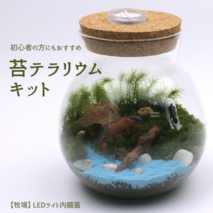 【牧場/LEDライト内蔵蓋】苔テラリウム 苔リウム コケリウム 盆栽 苔 手作り キット 巣ごもり おうち時間 ガーデニン…